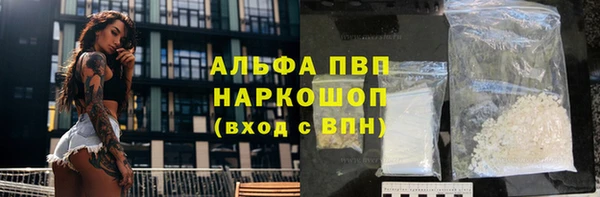 гидра Данков